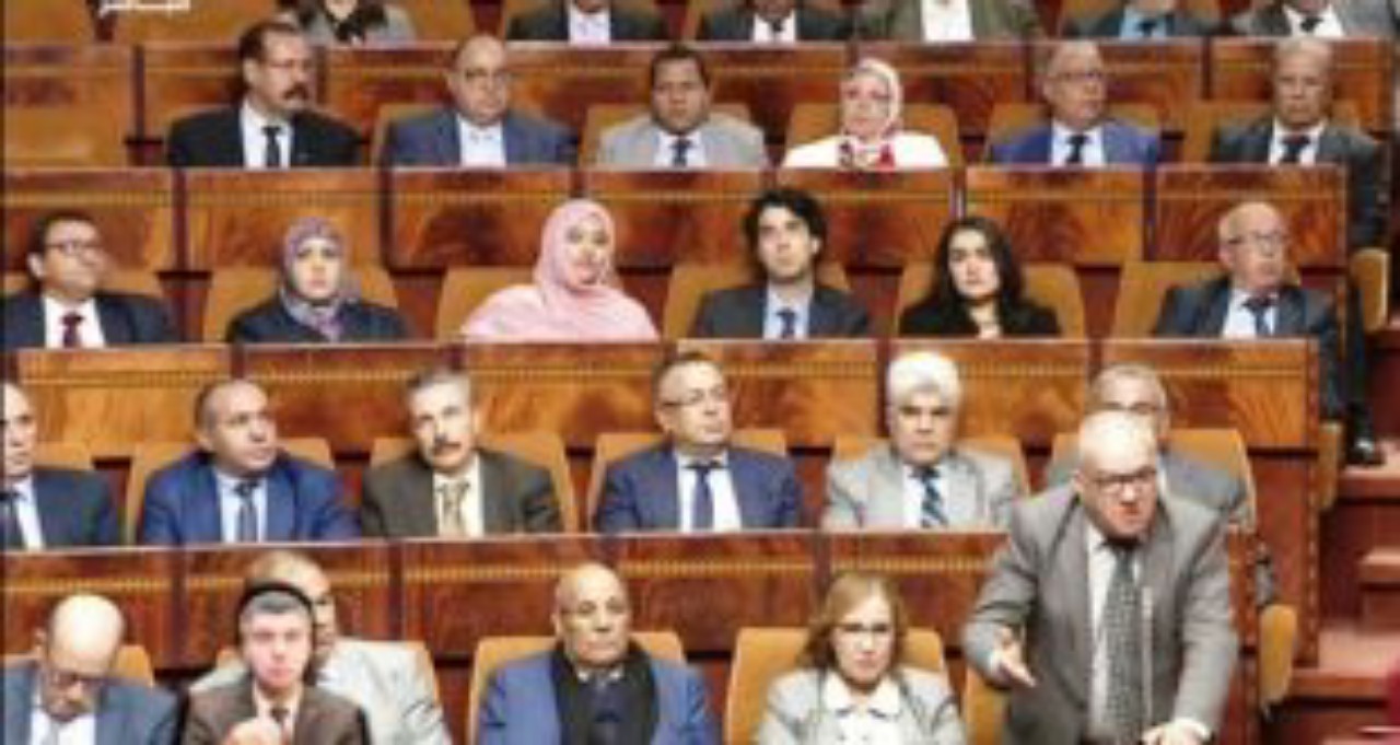 مشروعي قانون الأمازيغية والمجلس الوطني للغات بقبة البرلمان