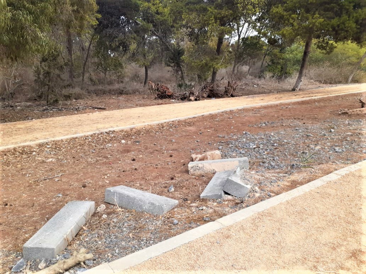 غابة الهرهورة رئة العاصمة الرباط التي تنوء بالمشاكل غابة الهرهورة رئة العاصمة الرباط التي تنوء بالمشاكل