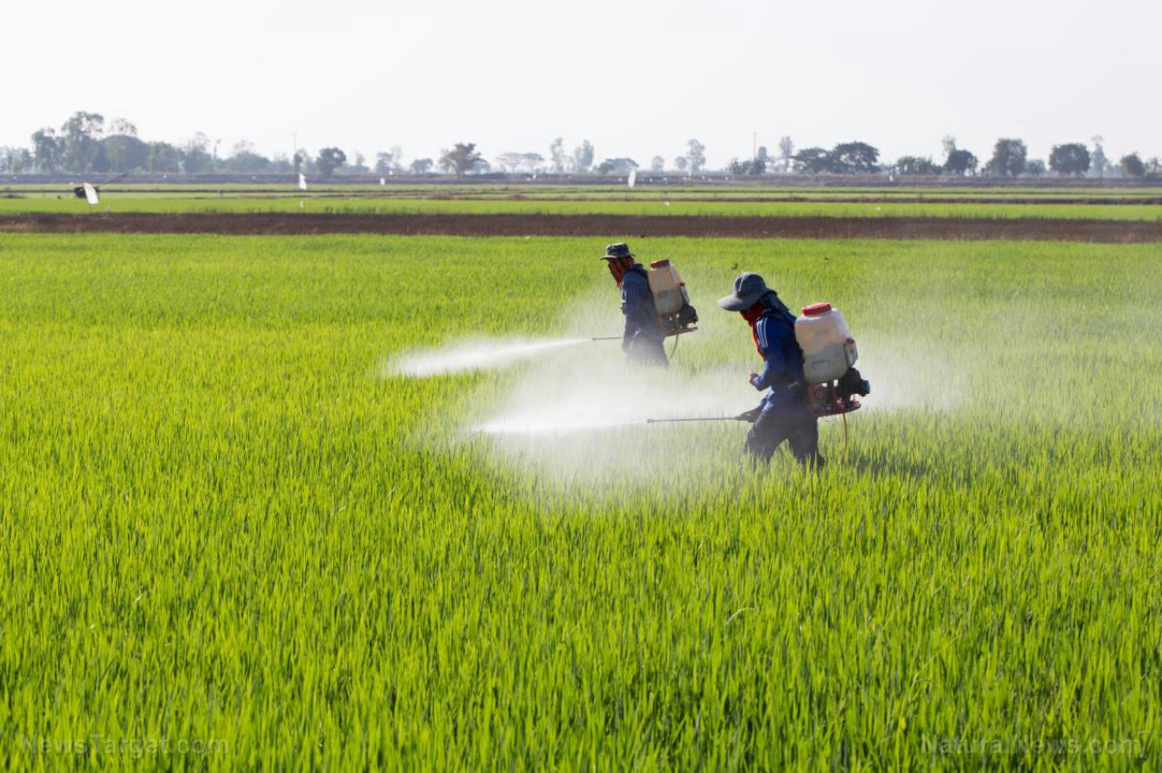 الخراطي: المغرب صار مزبلة للمبيدات الممنوعة بأروبا