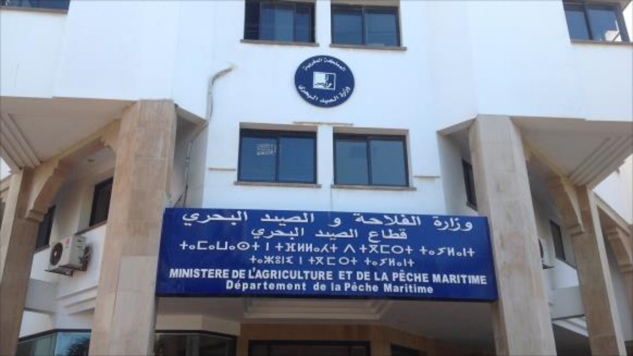 الفاعلون الاقتصاديون في قطاع دجاج اللحم يقصفون وزارة الفلاحة الفاعلون الاقتصاديون في قطاع دجاج اللحم يقصفون وزارة الفلاحة