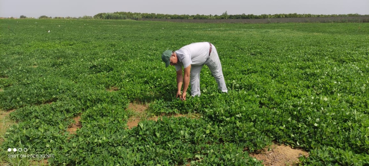 فلاحو العوامرة بالعرائش بين سندان تراكم القروض وتراجع أثمنة المحاصيل الفلاحية
