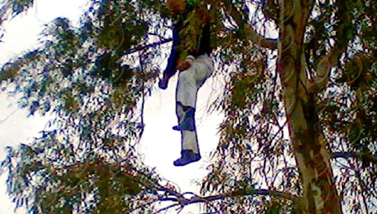 شاب ينهي حياته معلقا بشجرة في محطة القطار بالقصر الكبير  شاب ينهي حياته معلقا بشجرة في محطة القطار بالقصر الكبير