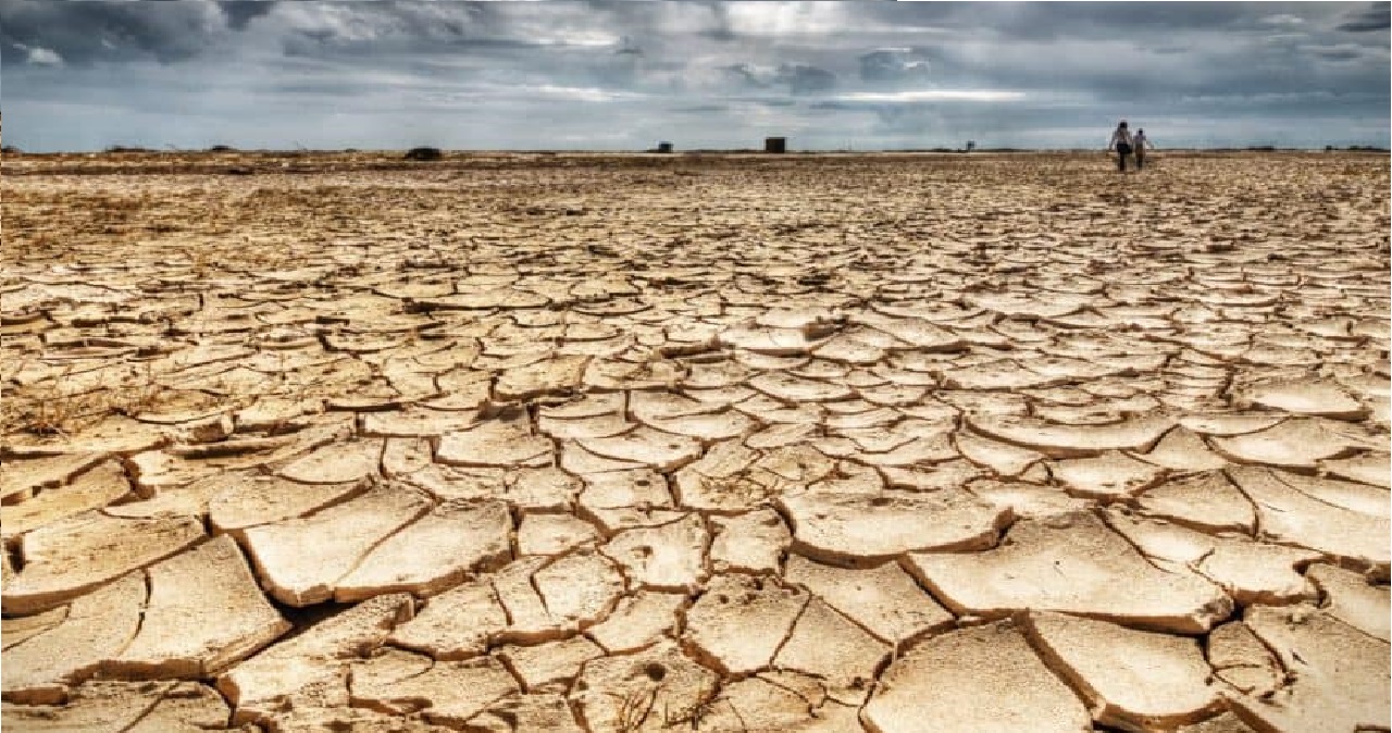 الجفاف يرخي بظلاله على قطاع الزراعة بالمغرب ويهدد الاقتصاد الوطني