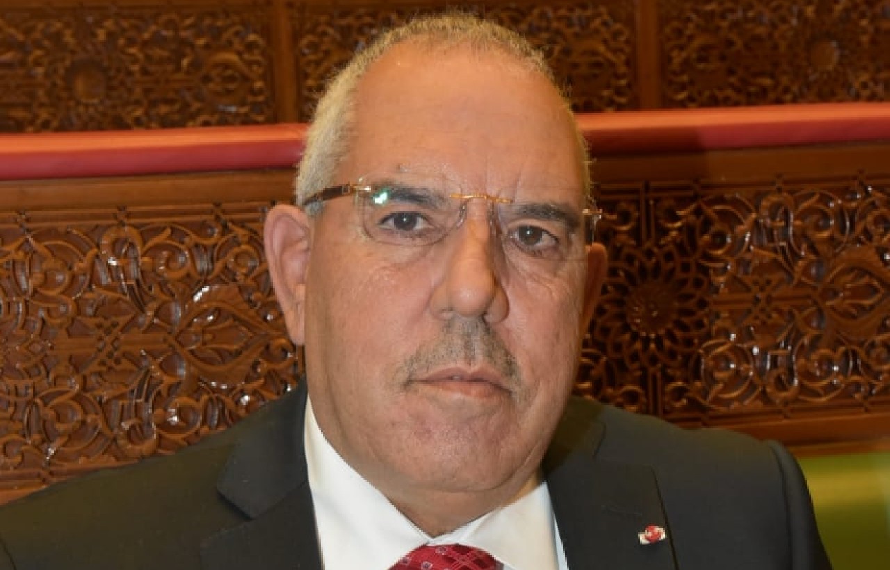 المستشار البرلماني محمد حلمي