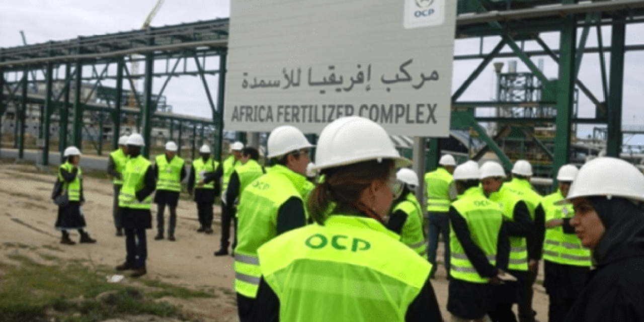 المجمع الشريف للفوسفاط يكشف عن أرباحه القياسية خلال الربع الأول من سنة 2022 المجمع الشريف للفوسفاط يكشف عن أرباحه القياسية خلال الربع الأول من سنة 2022