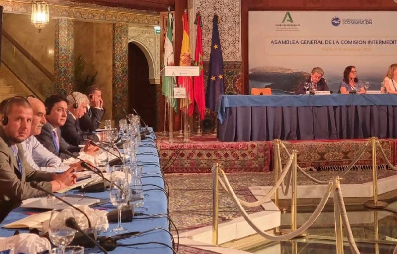 انتخاب جهتي الشرق والرباط بعضوية المكتب السياسي للجنة المتوسطية بإشبيلية