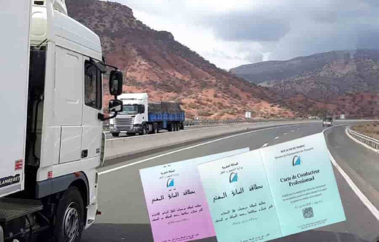 وزارة عبد الجليل تمدد في أجل الحصول على البطاقة المهنية وزارة عبد الجليل تمدد في أجل الحصول على البطاقة المهنية