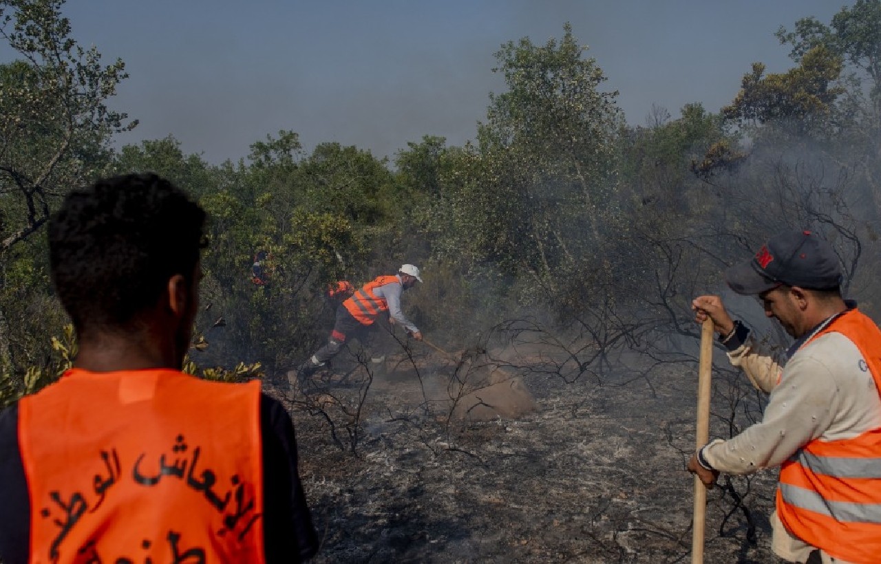 من تحت الرّماد... انبعاث جديد للشمال