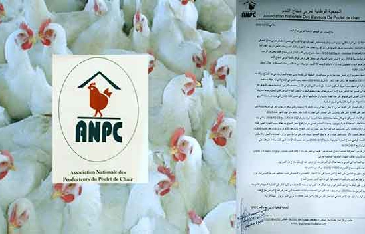 الجمعية الوطنية لمربي دجاج اللحم تناشد وزارة الفلاحة 
