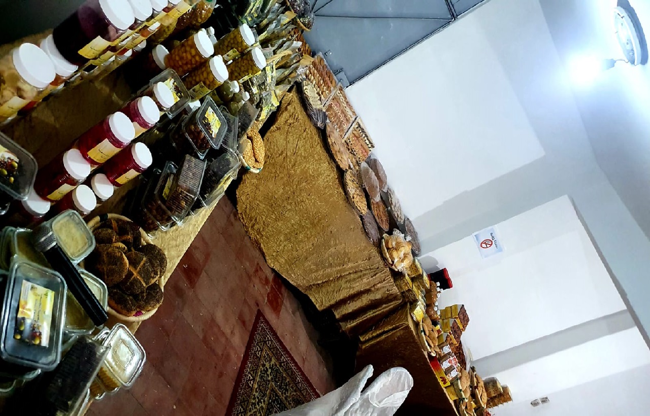 تعاونية ميا التلمزيطية للتنمية الاجتماعية تفتتح برنامج أنشطتها لموسم 2022/2023