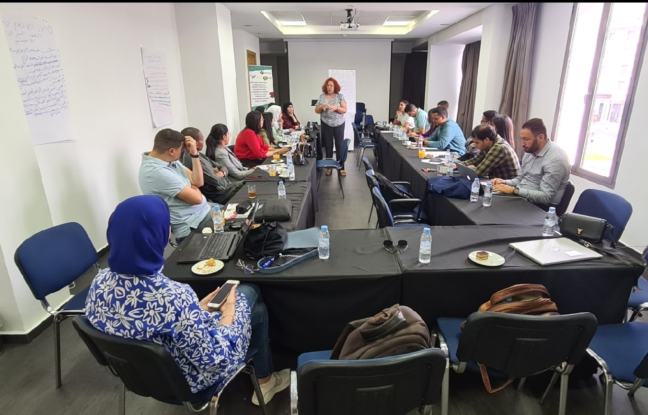 عشرون صحافية وصحافيا يستفيدون من تكوين في إدماج النوع الاجتماعي بإنتاجهم المهني عشرون صحافية وصحافيا يستفيدون من تكوين في إدماج النوع الاجتماعي بإنتاجهم المهني