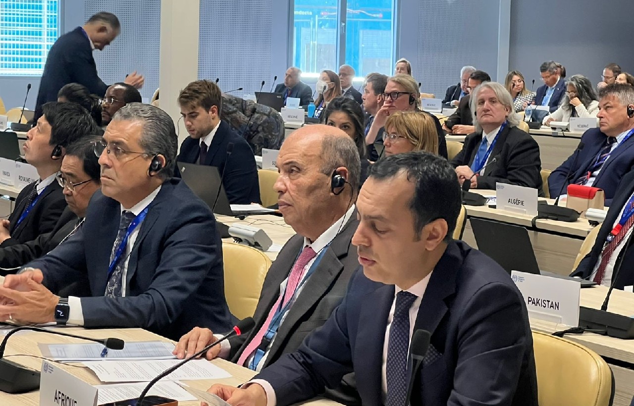 السكوري يرأس المجموعة الإفريقية في مؤتمر منظمة العمل الدولية  346 السكوري يرأس المجموعة الإفريقية في مؤتمر منظمة العمل الدولية  346