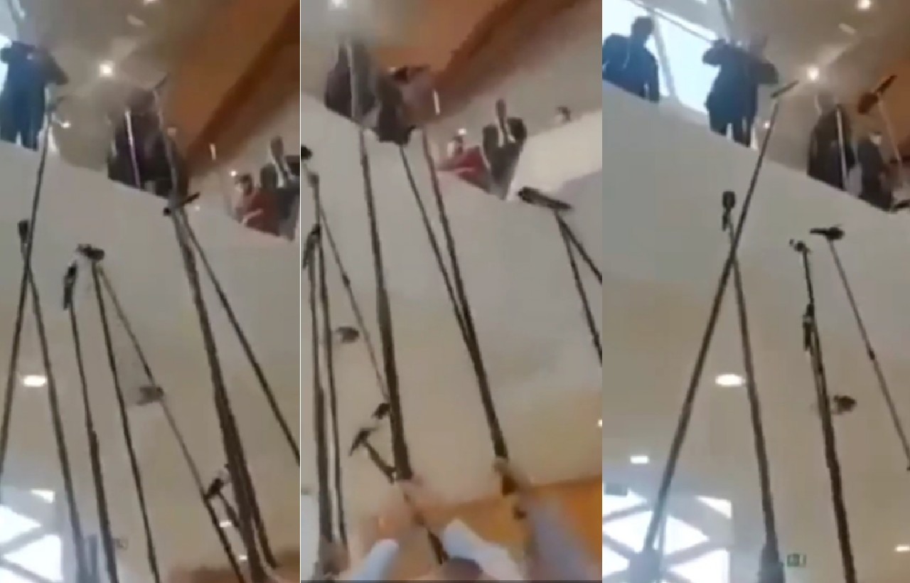 أبدعها الرئيس الجزائري... ندوة صحافية بالزانة