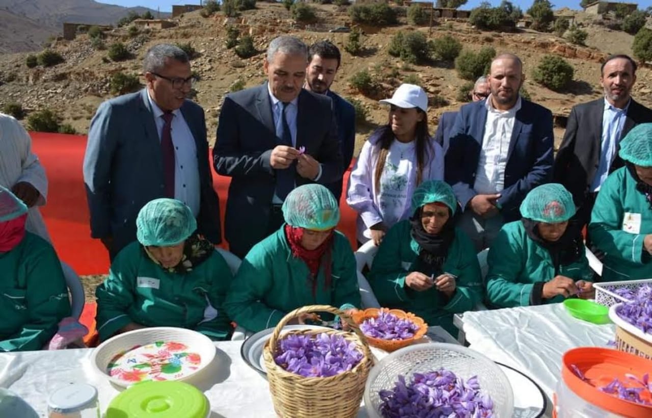 عامل إقليم أزيلال في زيارة تفقدية لمشتل الأعشاب الطبية والعطرية بجماعة زاوية احنصال "تلوين أزيلال"