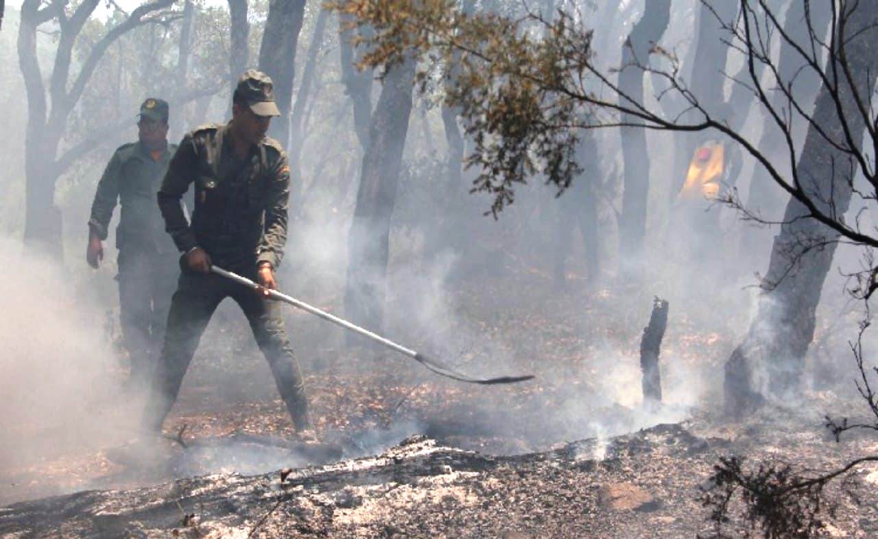 صورة من الأرشيف صورة من الأرشيف
