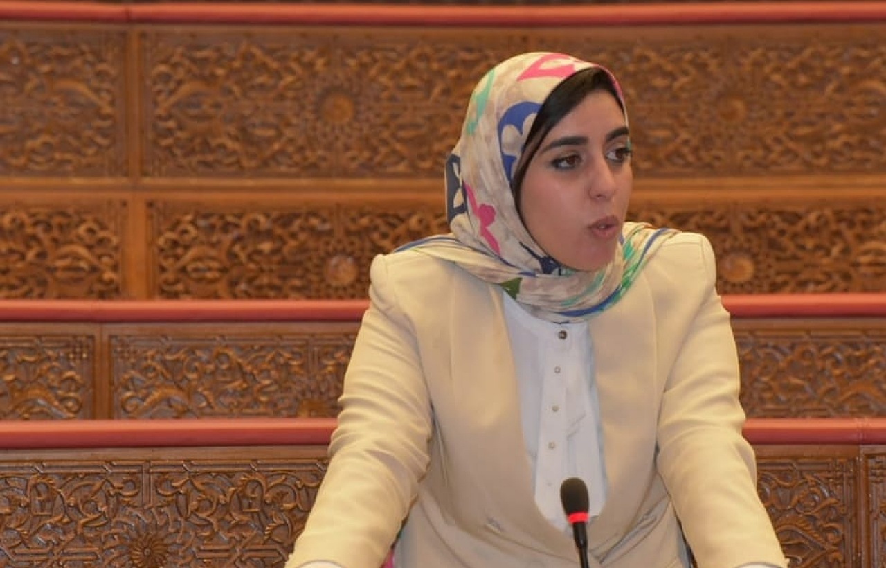 المستشارة البرلمانية هناء بن خير المستشارة البرلمانية هناء بن خير