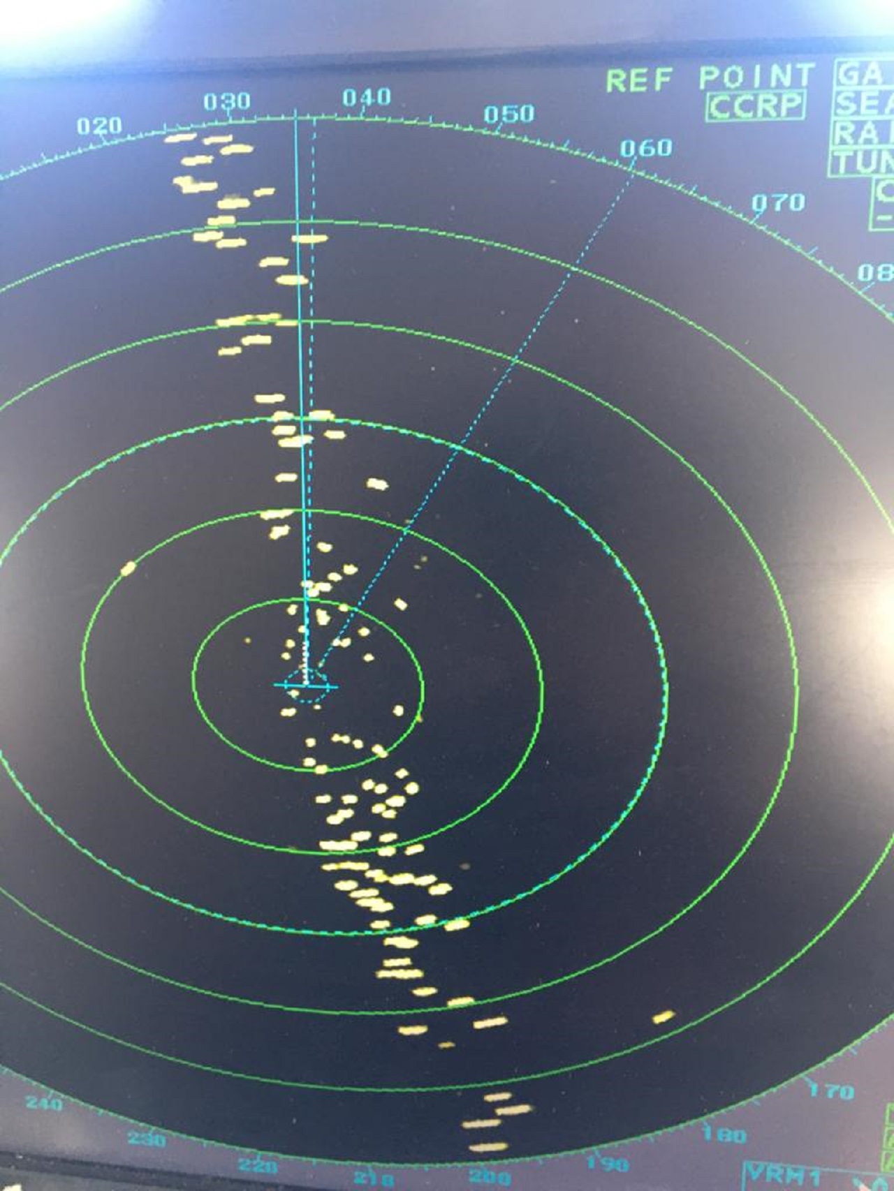 صور صادمة توثق إلقاء أطنان من الأخطبوط في عرض البحر والجهات المعنية صامتة صور صادمة توثق إلقاء أطنان من الأخطبوط في عرض البحر والجهات المعنية صامتة