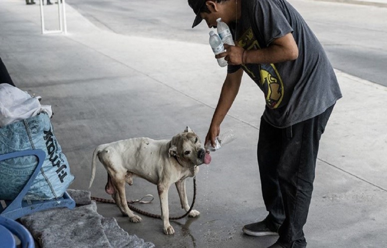 الأمين العام للأمم المتحدة يُحَذِّرْ: "عصر الغليان العالمي" بدأ في الأرض الأمين العام للأمم المتحدة يُحَذِّرْ: "عصر الغليان العالمي" بدأ في الأرض