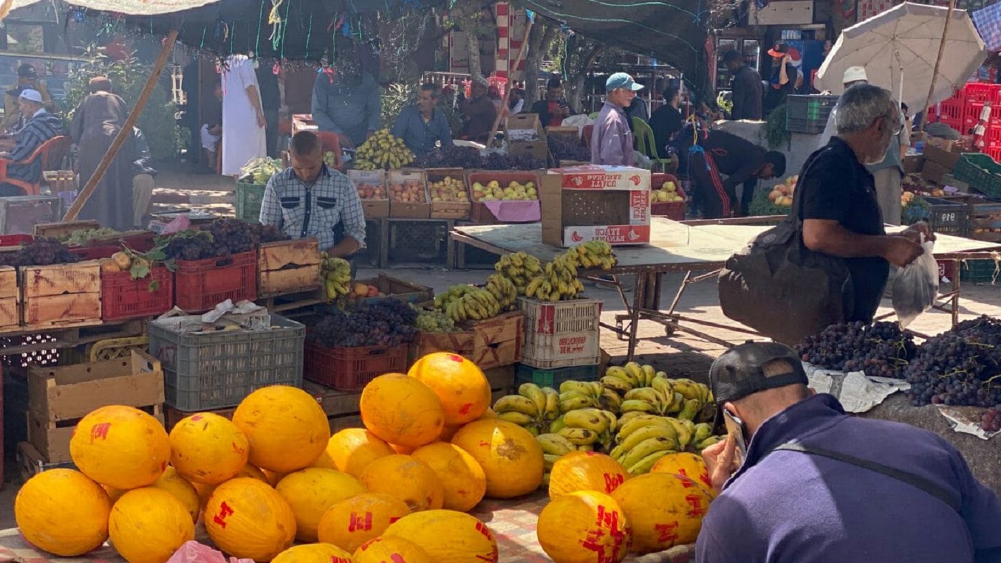 بعد أسبوع على الفاجعة.. كيف عادت الحياة لطبيعتها ببعض المناطق المتأثرة بالزلزال بعد أسبوع على الفاجعة.. كيف عادت الحياة لطبيعتها ببعض المناطق المتأثرة بالزلزال