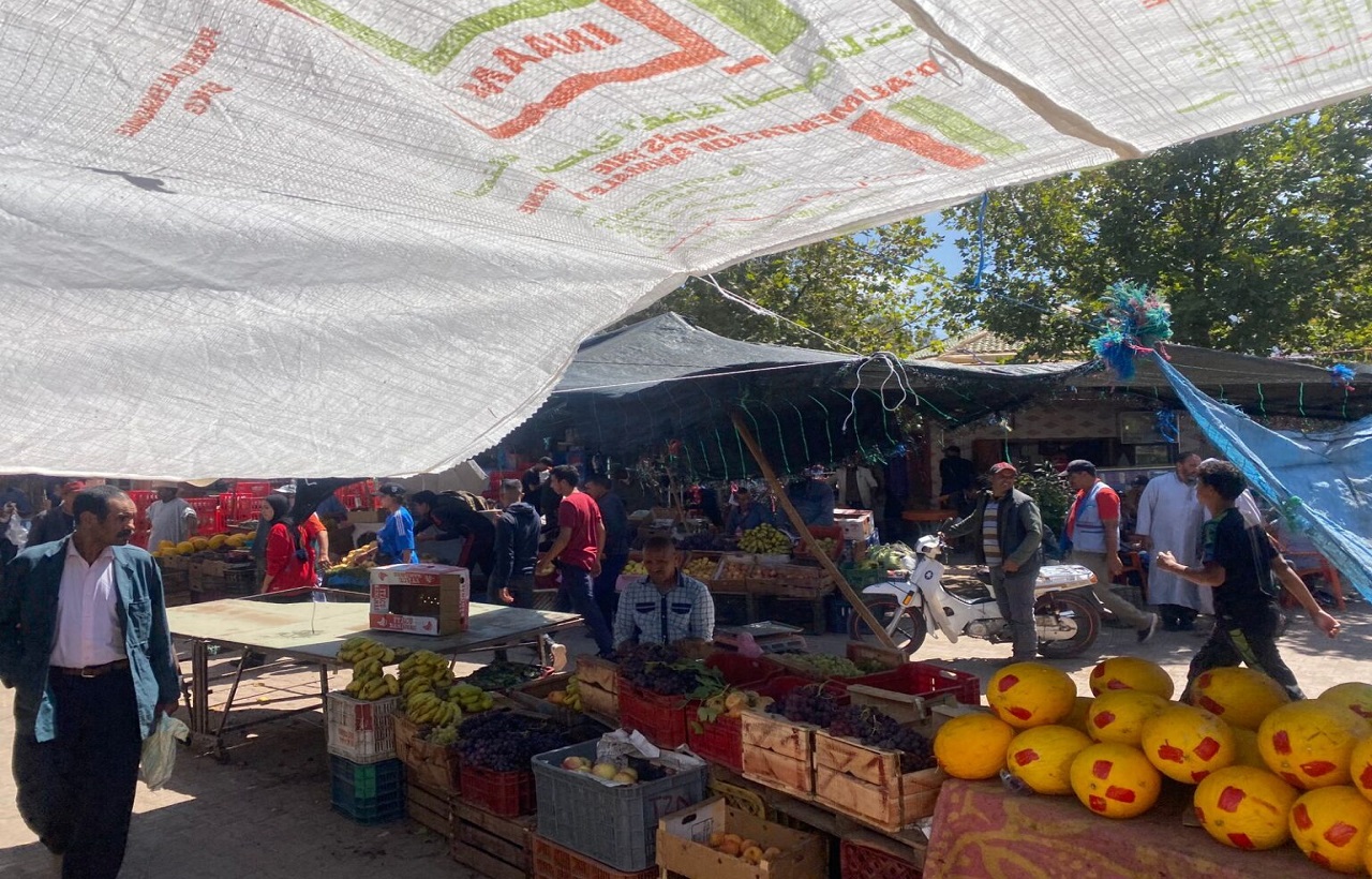 بعد أسبوع على الفاجعة.. كيف عادت الحياة لطبيعتها ببعض المناطق المتأثرة بالزلزال بعد أسبوع على الفاجعة.. كيف عادت الحياة لطبيعتها ببعض المناطق المتأثرة بالزلزال