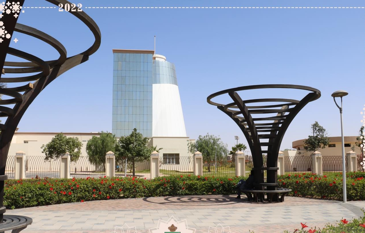 انتشار حشرة "البق" بالعيون مجرد إشاعة انتشار حشرة "البق" بالعيون مجرد إشاعة