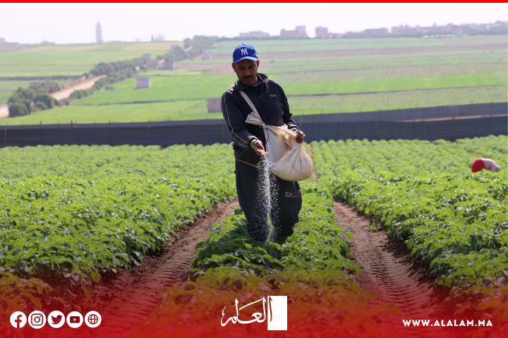 أمطار الخير تعيد الأمل في إنقاذ ما تبقى من الموسم الفلاحي وتوقعات باستمرارها أمطار الخير تعيد الأمل في إنقاذ ما تبقى من الموسم الفلاحي وتوقعات باستمرارها