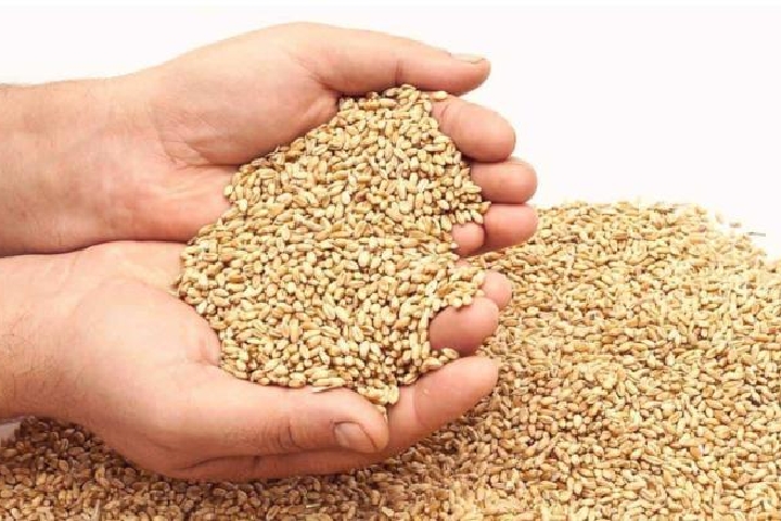 المجلس العلمي الأعلى يصدر رأيه في زكاة الفطر لعام 1445هـ المجلس العلمي الأعلى يصدر رأيه في زكاة الفطر لعام 1445هـ