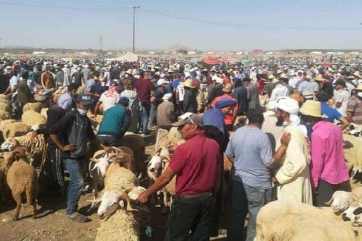 وجدة: "الشناقة" يتحكمون في أسعار السوق وآخرون يحتالون في غياب المراقبة