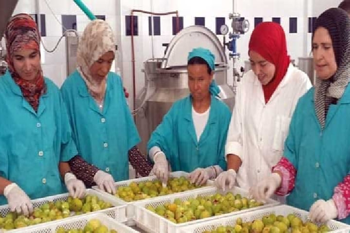 تطوان تستضيف الملتقى الجهوي السادس للتعاونيات الفلاحية النسائية تطوان تستضيف الملتقى الجهوي السادس للتعاونيات الفلاحية النسائية