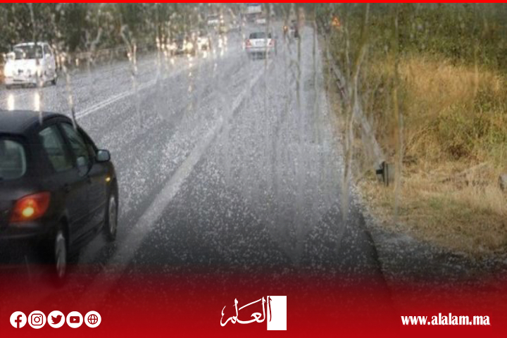 نشرة إنذارية: أمطار رعدية ورياح مصحوبة بـ"تبروري" بعدد من مناطق المملكة نشرة إنذارية: أمطار رعدية ورياح مصحوبة بـ"تبروري" بعدد من مناطق المملكة