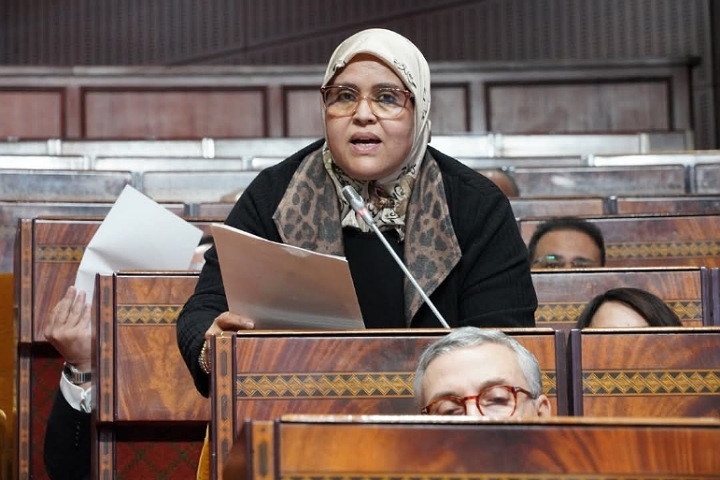 سميرة حجازي تطالب بمقاربة شمولية لمناهضة العنف ضد النساء سميرة حجازي تطالب بمقاربة شمولية لمناهضة العنف ضد النساء