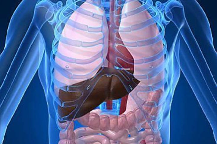 صحة الصائم الجيدة رهينة بالتوازن في الأكل و النوم و شيء من الرياضة.. صحة الصائم الجيدة رهينة بالتوازن في الأكل و النوم و شيء من الرياضة..