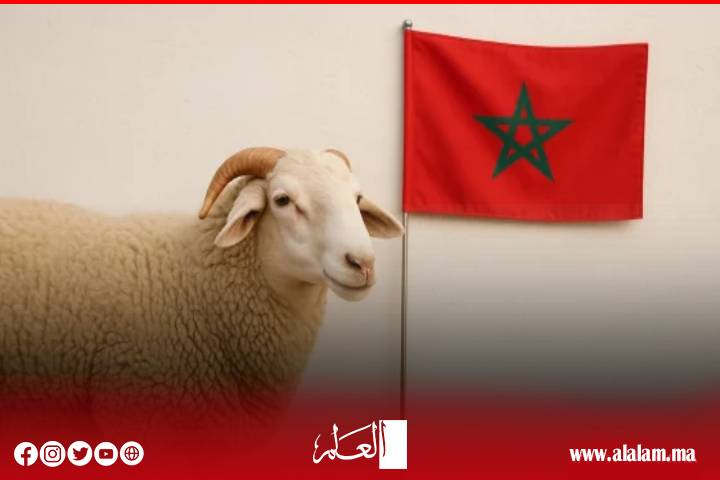 الاتحاد العام للفلاحين يصدر "نداء أكادير"
