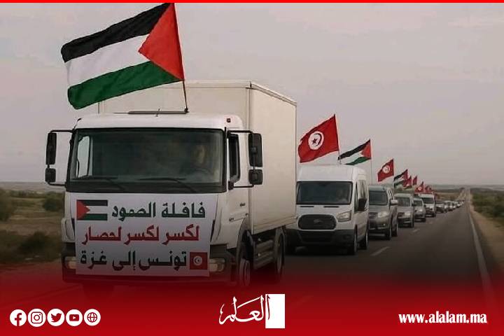 عاجل: مصر تصدر بياناً رسمياً بشأن "قافلة الصمود لكسر الحصار على غزة" وضوابط زيارة الحدود مع القطاع