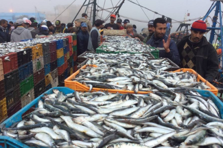 اتفاقية‭ ‬الصيد‭ ‬بين‭ ‬المغرب‭ ‬وروسيا‭ ‬أبعد‭ ‬بكثير‭ ‬من‭ ‬أن‭ ‬تكون‭ ‬مجرد‭ ‬تعاقد‭ ‬اقتصادي