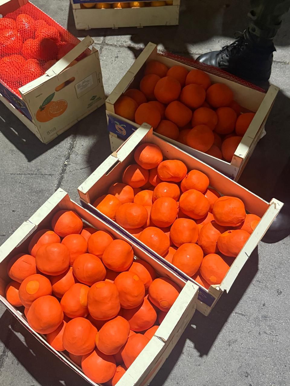 بتنسيق أمني.. إجهاض محاولة تهريب لأزيد من 4 أطنان من مخدر الشيرا بميناء طنجة المتوسط بتنسيق أمني.. إجهاض محاولة تهريب لأزيد من 4 أطنان من مخدر الشيرا بميناء طنجة المتوسط