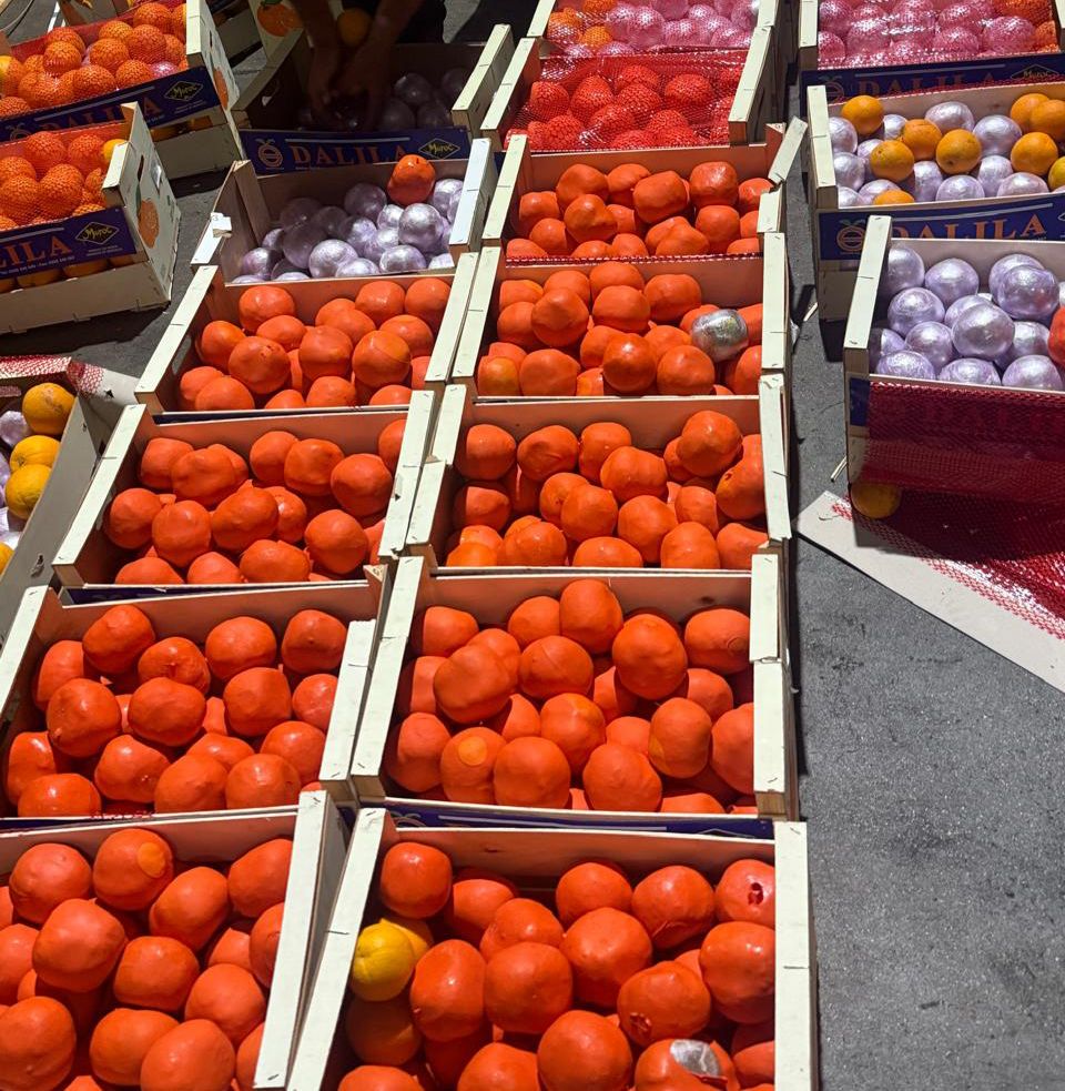 بتنسيق أمني.. إجهاض محاولة تهريب لأزيد من 4 أطنان من مخدر الشيرا بميناء طنجة المتوسط بتنسيق أمني.. إجهاض محاولة تهريب لأزيد من 4 أطنان من مخدر الشيرا بميناء طنجة المتوسط