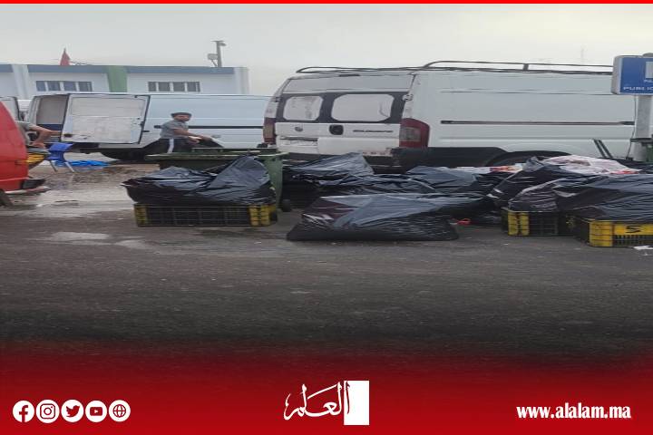 تلوث بيئي خطير يهدد ميناء الحسيمة وسط مطالب بالتدخل العاجل