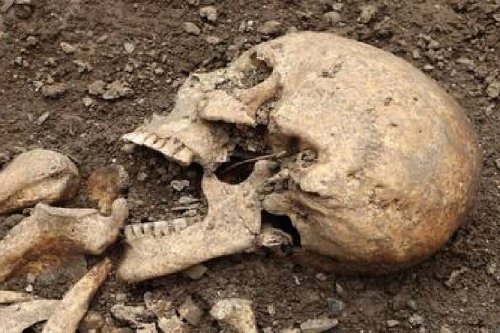 بعد 128 عاما من النهب الاستعماري.. فرنسا تعيد جمجمة الملك تويرا إلى مدغشقر
