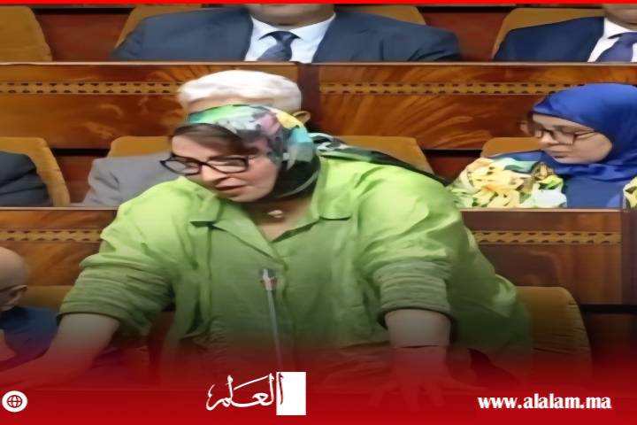 النائبة البرلمانية فاطمة بنعزة تحذر من جعل عدد الأحكام الصادرة عن القضاة معيارا لترقيتهم