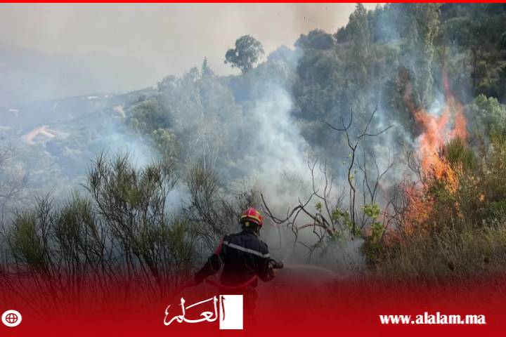 حرائق غابات ضخمة في الجزائر تهدد حياة السكان والسلطات تتحرك