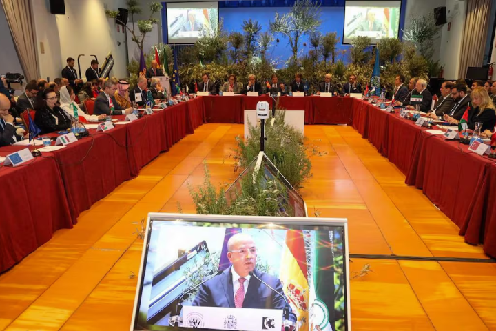 المغرب يرأس المجلس الدولي للزيتون لعام 2026