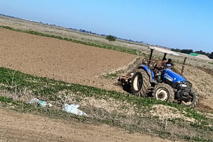 انطلاق التحضيرات للموسم الفلاحي في سهل الغرب وسط آمال كبيرة في الأمطار