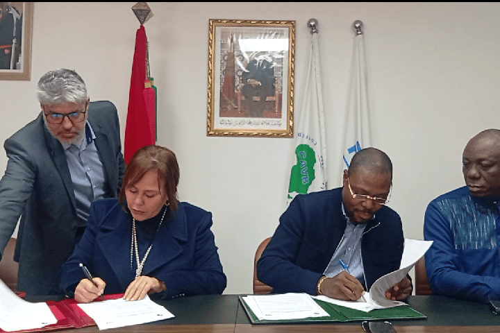 من الرباط إلى كينشاسا: اتفاق تاريخي يضع الكرة الطائرة الإفريقية على طريق العالمية