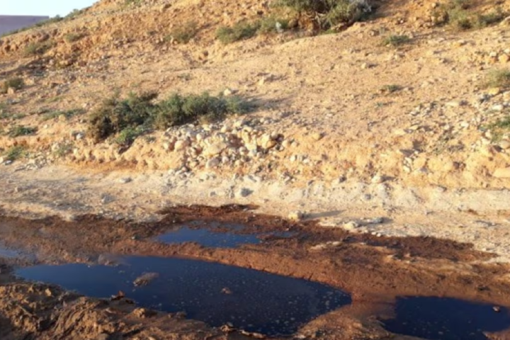 مخاطر مخلفات عصر الزيتون تعود من جديد..