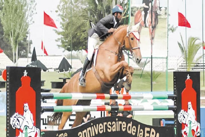 جائزة "مغرب الفروسية" تحتفي بذاكرة الإنجاز في دورتها التاسعة عشرة: “نذكر نجاحاتنا… ونعلي القفز”