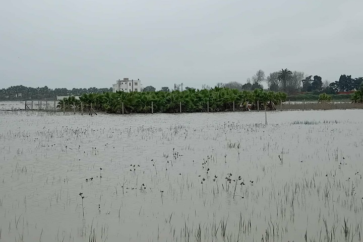 منطقة الغرب تستعد للأسوأ بفعل استمرار سوء الأحوال الجوية