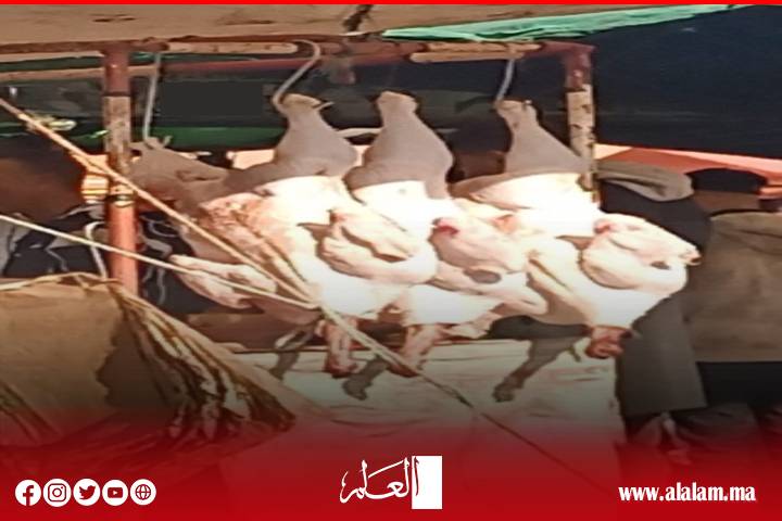 سوق "الحمرا" بمولاي عبد الله: فوضى عارمة ووقاية صحية مغيبة