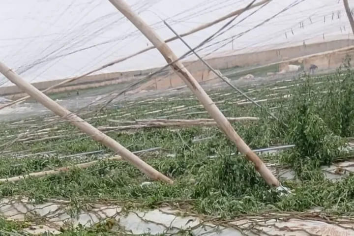 بعد العاصفة الرملية… إجراءات حكومية عاجلة لإنقاذ فلاحي اشتوكة أيت باها