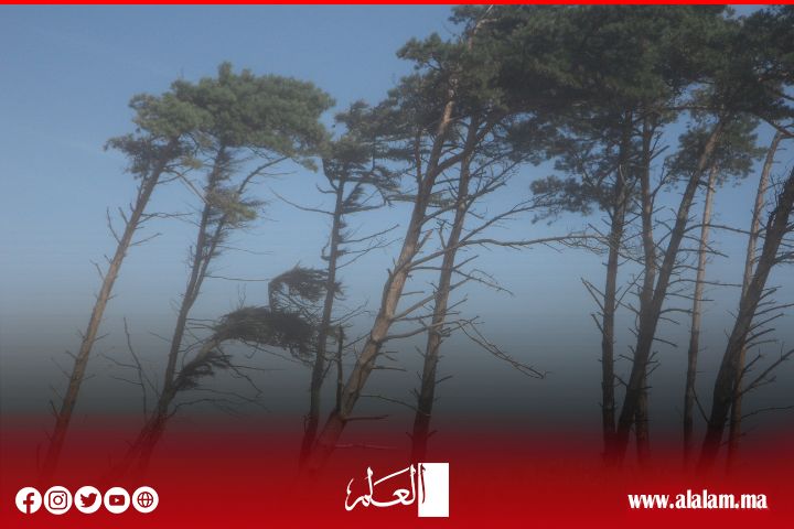 تحذير من رياح قوية وطقس بارد يومي الإثنين والثلاثاء